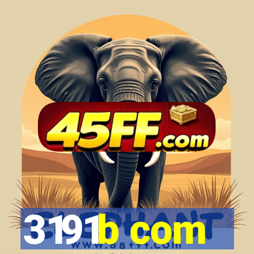 3191b com